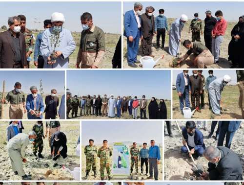 غرس ۲۰۰ اصله نهال در عنبرآباد